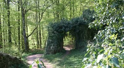 Wandern
