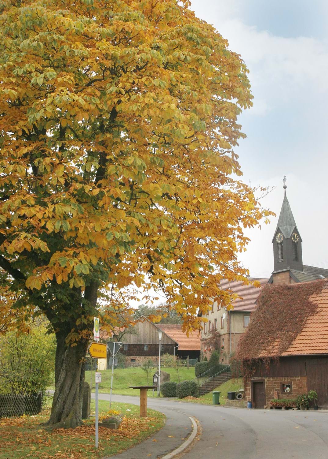 Ortsteil Breitenbuch Markt Kirchzell