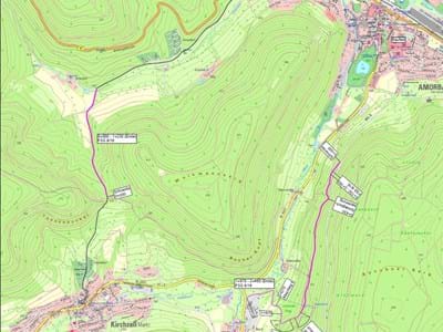 Lageplan Umfahrung Wald- und Wirtschaftswege.JPG